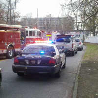 <p>Emergency vehicles on Warburton Avenue.</p>