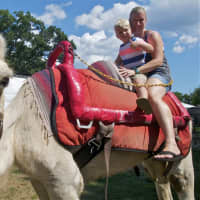<p>Kristin Gryga and 4-year-old Kyle, ride Gabriel the camel at the Beardsley Zoo.</p>