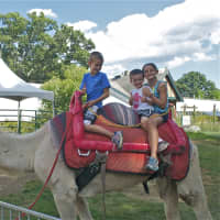<p>From left: Carter, Collin and Rowan Ivens, of West Hartford, enjoy a spin on the camel.</p>