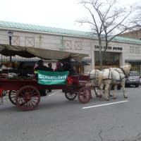 <p>Carriage riders on Greenwich Avenue enjoyed Holiday Stroll Weekend.</p>