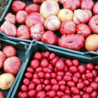 <p>Some of the produce at the Bronxville Farmers Market.</p>