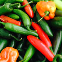 <p>The Bronxville Farmers Market is open every Saturday from 8:30 a.m. until 1 p.m.</p>