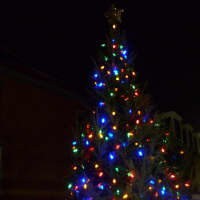 <p>This year&#x27;s Peekskill holiday tree, which sits beside the downtown gazebo. </p>