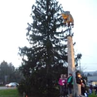 <p>The night&#x27;s final event was the lighting of the Christmas tree.</p>