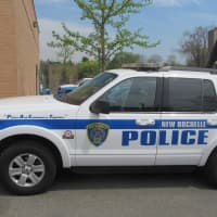 <p>The suspects drammed a New Rochelle police vehicle.</p>