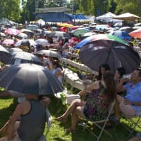 <p>The concert area is a sea of umbrellas as people look for an escape from the heat.</p>