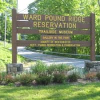 <p>Ward Pound Ridge Reservation in Pound Ridge is full of hiking trails.</p>