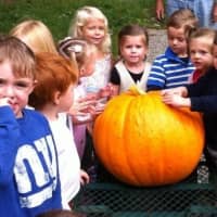 <p>St. Mark&#x27;s Nursery School students with a pumpkin raised in their garden. </p>