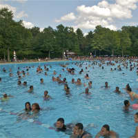 <p>It was a full house at the FDR Park pool over the weekend. </p>