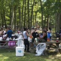 <p>Picnicers found shade for their cookouts at FDR Park.</p>