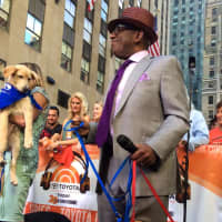 <p>As part of its participation in Clear the Shelters, the SPCA of Westchester has been featured on NBC Nightly News with Lester Holt, MSNBCs Morning Joe, NBC New York and even brought puppies on the Today Show.</p>