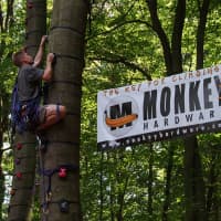 <p>A climber works his way up a tree in The Monkey Grove section at Adventure Park in Bridgeport.</p>