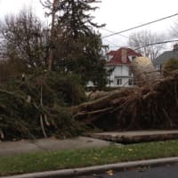 <p>Trees and wires are down all over Rye Brook and Port Chester after Hurricane Sandy hit.</p>