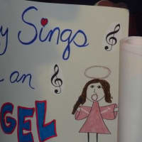 <p>Here&#x27;s one of the many signs made by Carly Rose Sonenclar fans at the Archbishop Stepinac High School event.</p>