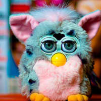 <p>Furby toys have surprisingly made a comeback on Christmas lists this year, according to Greenburgh Kmart manager Scott Reid.</p>