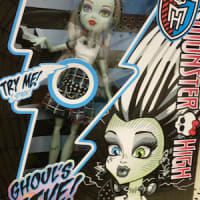 <p>Doing some last-minute Christmas shopping in Greenburgh for your kids? Monster High toys and accessories are popular items this year.</p>