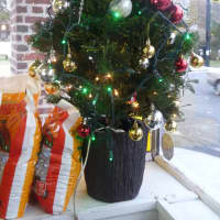 <p>A Christmas tree at The Harrison Deli.</p>