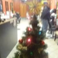 <p>A lit-up Christmas tree at a Harrison business. </p>