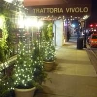 <p>Lit-up trees for Christmas at Trattoria Vivolo</p>