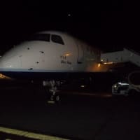 <p>Geese struck a JetBlue flight that departed from Westchester County Airport on April 24, 2012. </p>