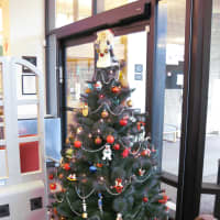 <p>The Chappaqua Library put out a tree next to their entrance. Hopefully Santa left some books under it!</p>