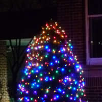 <p>A Christmas tree lights up Main Street across from the New Canaan Library. </p>