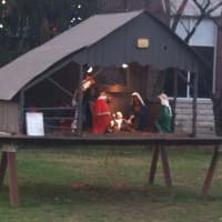 <p>The village&#x27;s nativity creche and tree stand on the front library lawn.</p>