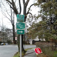 <p>The storm knocked over a stop sign on Grand Street by Hussey Street leading to the Cross County Parkway in Mount Vernon.</p>