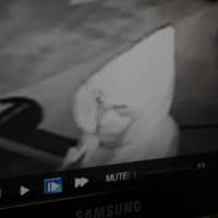 <p>Village of Ossining police released two photos of suspects believed to have burglarized Streetmasters in Ossining.</p>