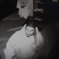 <p>Village of Ossining police are asking for the public&#x27;s help in identifying the suspects in the video. </p>