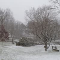 <p>Snow falling in Weston Saturday afternoon.</p>