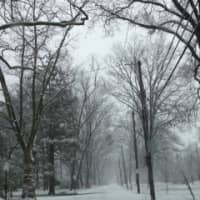 <p>Gedney Park Drive gets covered in snow. </p>