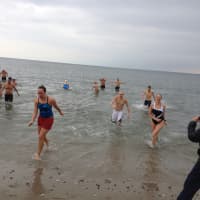 <p>Polar bear swimmers Tuesday during the Team Mossman Polar Plunge at Compo Beach in Westport to benefit Save the Children.</p>