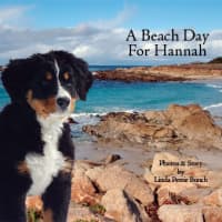 <p>Linda Petrie Bunch, author of the children&#x27;s book &quot;A Beach Day for Hannah,&quot; will appear at the Rye Free Reading Room at 2 p.m. Jan. 19 along with a mystery guest.</p>