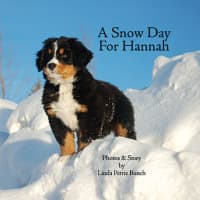 <p>Linda Petrie Bunch, author of &quot;A Snow Day for Hannah,&quot; writes stories that revolve around her Bernese mountain dog Hannah.</p>