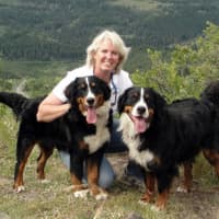 <p>Children&#x27;s author Linda Petrie Bunch of Colorado has loved Bernese mountain dogs for more than 20 years.</p>