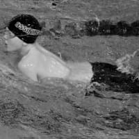 <p>Spartan Alex Carrazzone in his breaststroke race.</p>