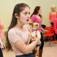 <p>Armonk resident Alison Horowitz will play the role of Margot in the Random Farms Kids Theater production of &quot;Legally Blonde.&quot;</p>