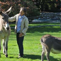 <p>Bethany Zaro, of North Wilton Road in New Canaan, with her donkeys Poppy, left, and Chipper. </p>