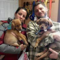<p>Pets Alive will hold adoptions at upscale clothing store Churchills in Mount Kisco on Feb. 9 and 10 for a Valentine&#x27;s Day adoption event. Here, happy new pet owners hold their charges at a Jan. Pets Alive adoption event. </p>