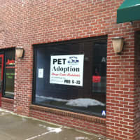 <p>A record-setting 22 dogs and five cats were adopted in one day at the group&#x27;s last adoption event in Mount Kisco, which was held at this summer&#x27;s Sidewalk Sales.</p>