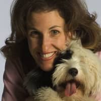 <p>The Huffington Post picked up Katonah dog trainer Sarah Hodgson&#x27;s dog blog in late January. </p>