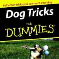 <p>&quot;Dog Tricks for Dummies&quot; is one of Hodgson&#x27;s books in the &quot;For Dummies&quot; series. Her philosophy looks at dog training as &quot;teaching English as a second language.&quot;</p>