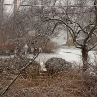 <p>Snow falls in White Plains. </p>