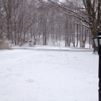 <p>The snow started to stick to the ground early Friday morning in Briarcliff Manor. </p>
