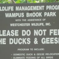 <p>Wampus Brook Park is currently under renovation. The North Castle Town Board hopes to have a dog park there by the summer.</p>
