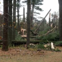<p>Hurricane Sandy knocked down multiple trees across from Wampus Brook Park in North Castle.</p>