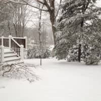 <p>Snow accumulates in Briarcliff Manor Friday afternoon.</p>
