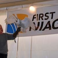 <p>Bill Streeter of the Delaware Valley Raptor Center lets his snowy owl show off its impressive wingspan at his presentation &quot;Close Encounters with Wintering Eagles and Owls.&quot;</p>