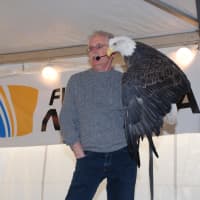 <p>Streeter displays the once-endangered bald eagle at Croton Point Park.</p>